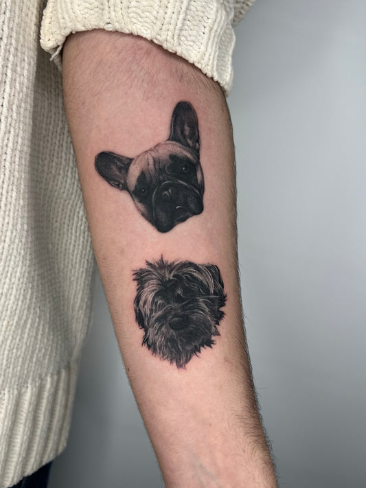 Dogs