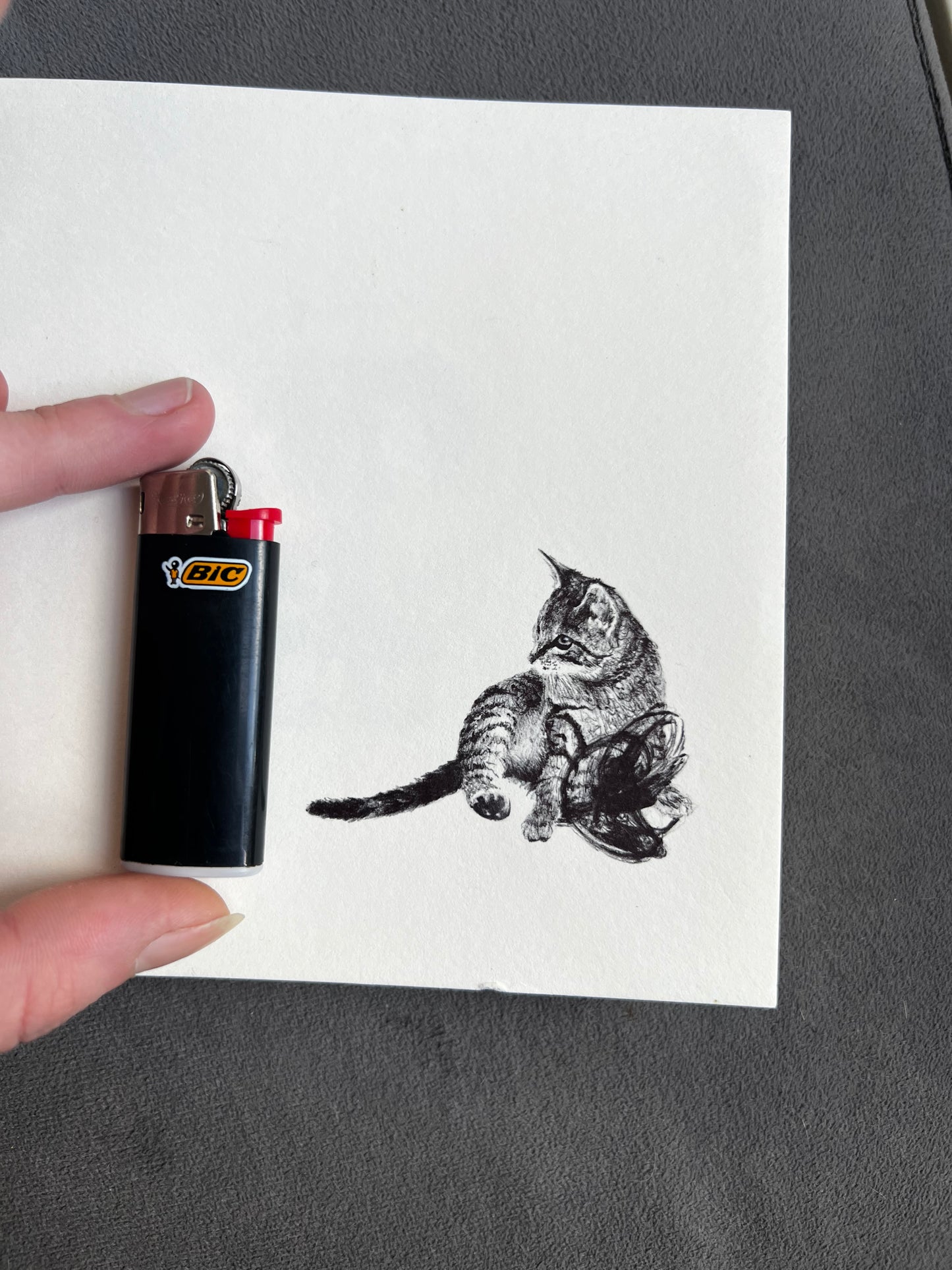 Dessin stylo bic chat <3