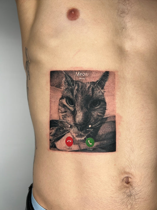 Cat’s calling